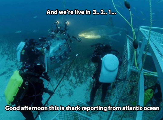 And now for the underwater report…