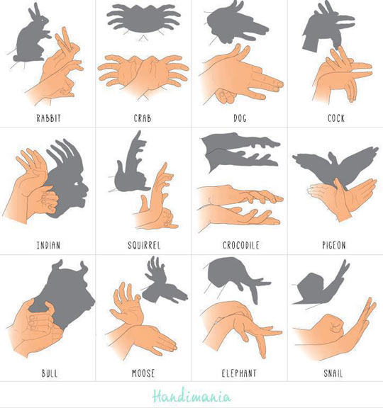 funny-shadow-forms-hand-animals