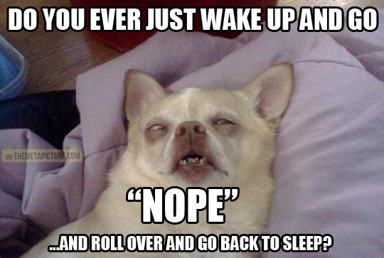When I wake up every morning…