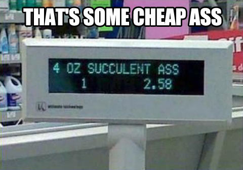 funny-store-cheap-succulent