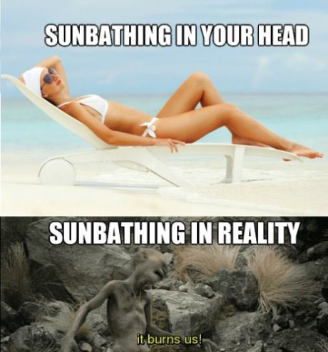 Sunbathing…