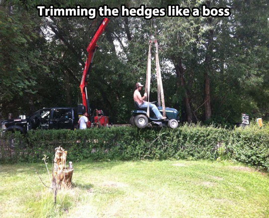 Trimming the hedges…