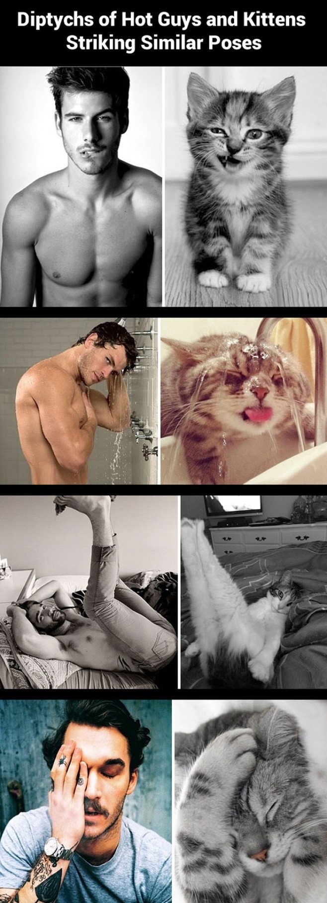 Hot guys and kitties striking similar posts...