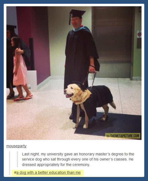 A dog with a degree…