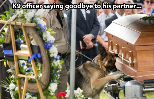 Saying goodbye to his partner…