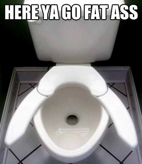 funny-American-toilet-fat