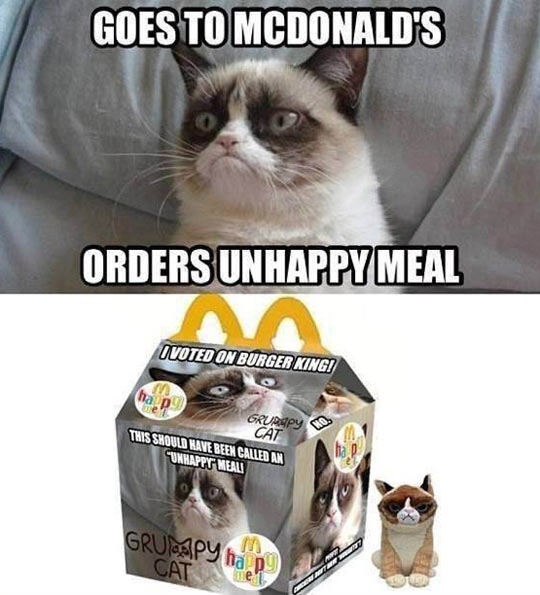 Grumpy Cat at McDonalds…