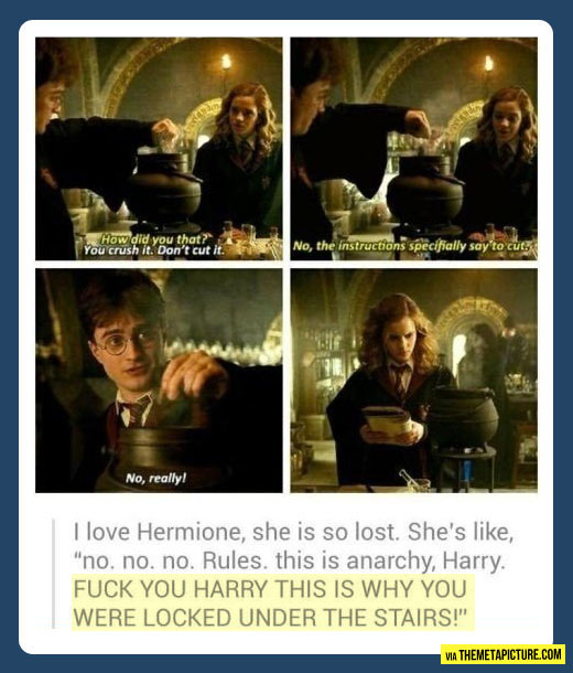 funny-Harry-Hermione-rules-anarchy