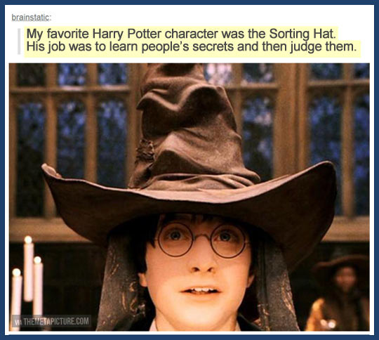 funny-Harry-Potter-Sorting-Hat-favorite