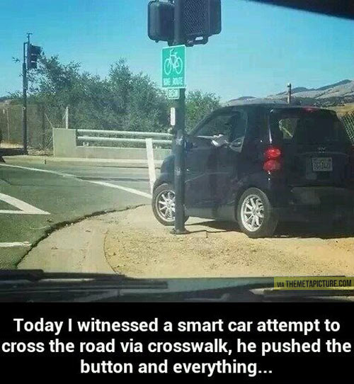 funny-Smart-car-crosswalk