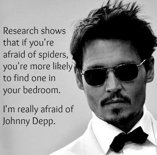 If you’re afraid of spiders…