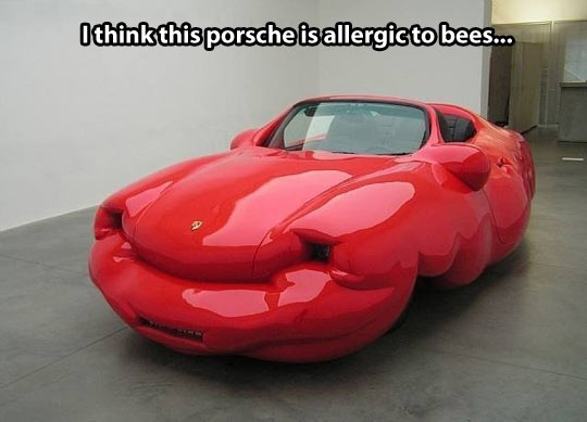 funny-allergic-car-bees