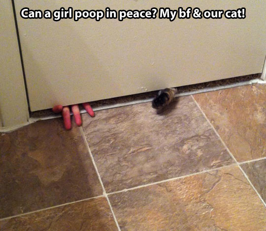 I can’t have peace in my own bathroom…
