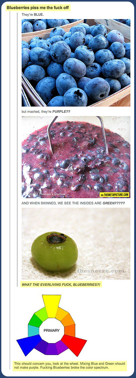 Blueberries don’t play by the rules…