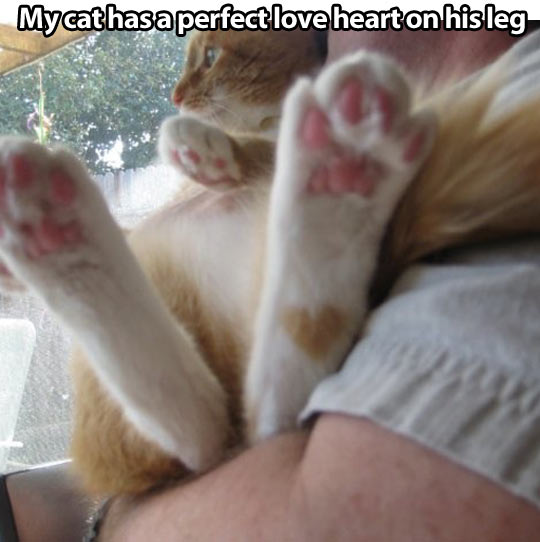 A perfect heart…