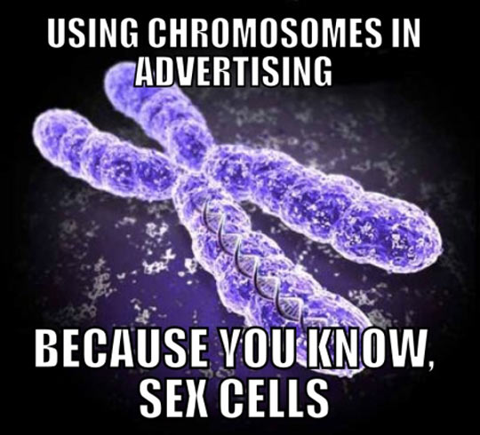 Using chromosomes in ads…