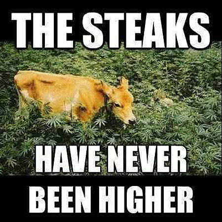 High steaks…