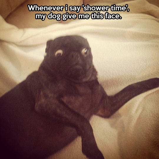 Shower time face…