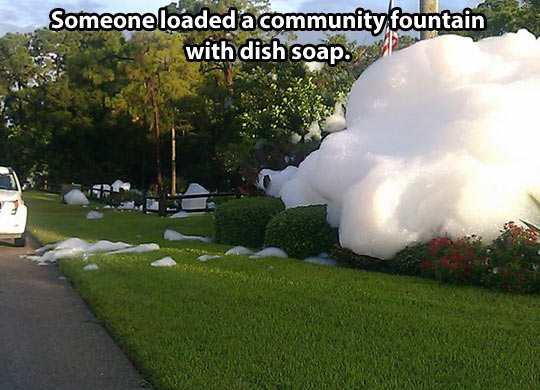 Dish soap disaster…