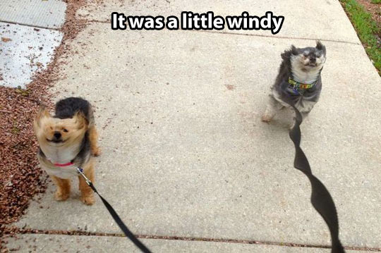 You can say it was windy…