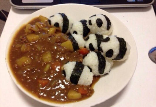 funny-food-panda-curry