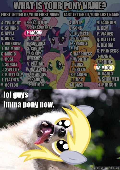 So now he’s a pony…