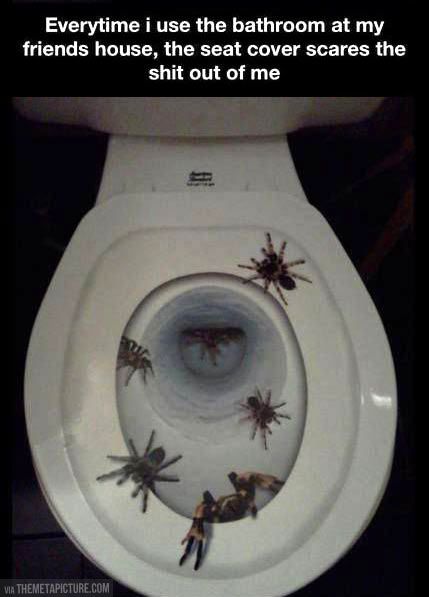 funny-friend-toilet-seat-cover-spider