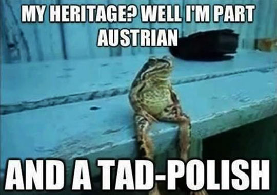 funny-frog-sitting-heritage-austrian