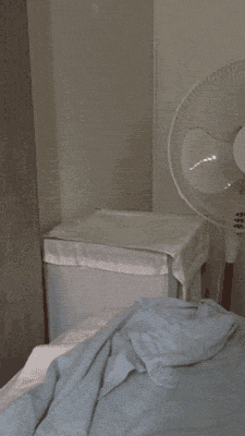 funny-gif-cat-falling-bed