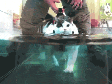 funny-gif-exercise-water-walk