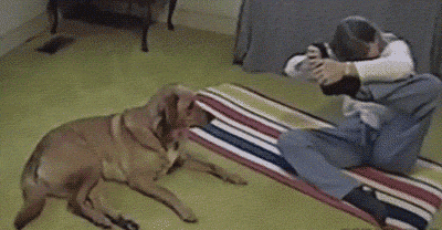 Dog does yoga with his human…
