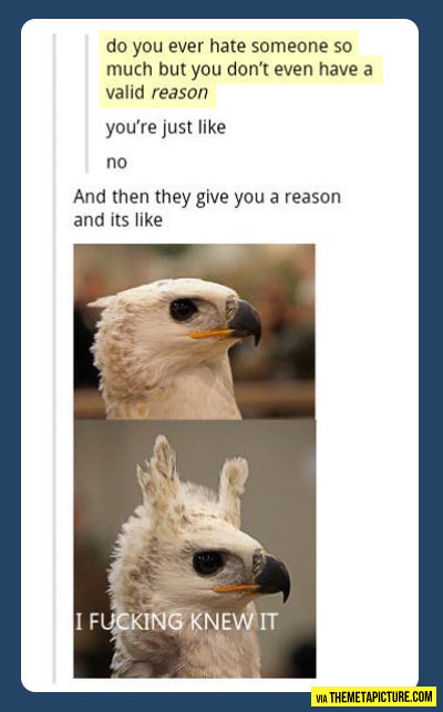 funny-hate-reason-bird