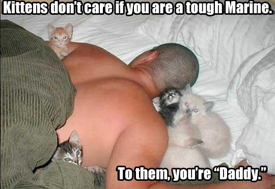 Kittens don’t care…