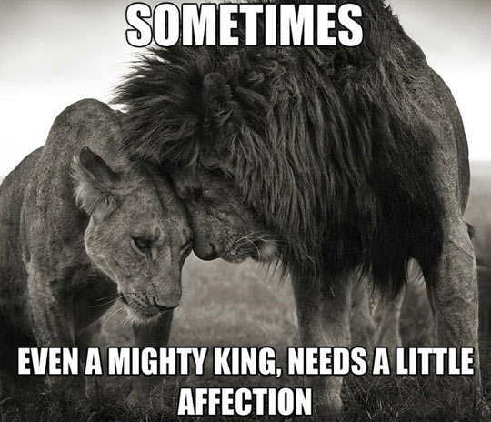 Even mighty kings need it…