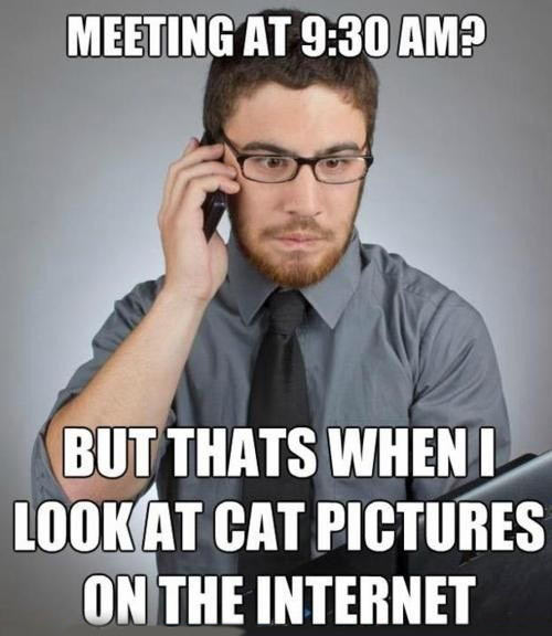 Inconvenient meeting…