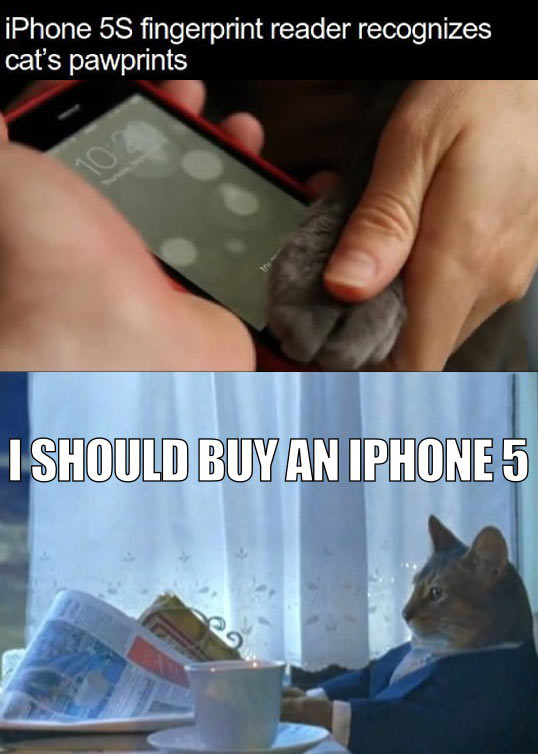 funny-new-iPhone-S-paw-recognition