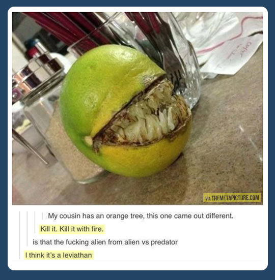 funny-orange-Alien-Predator-teeth
