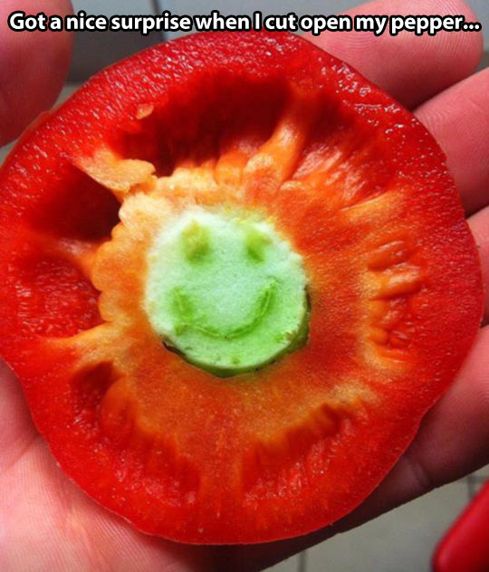 funny-pepper-surprise-happy-face