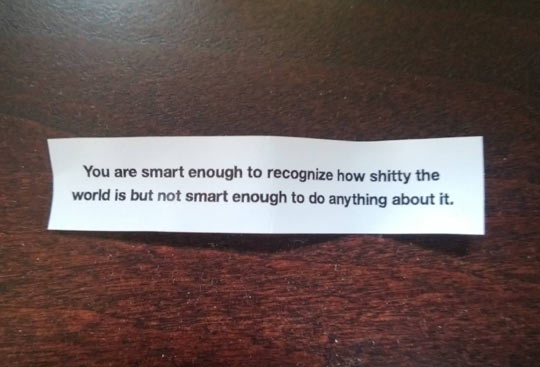 Reality described from a fortune cookie…