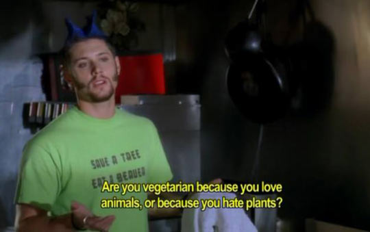 What to ask a vegetarian…