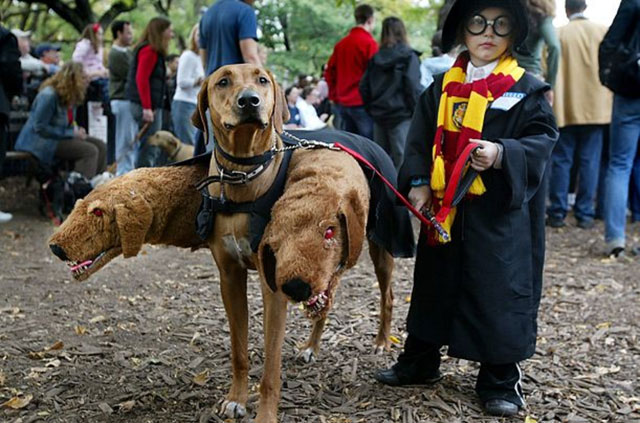 Awesome Kids Costumes For Halloween — 4