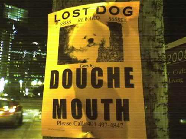 Funny Lost Pet Signs — 1