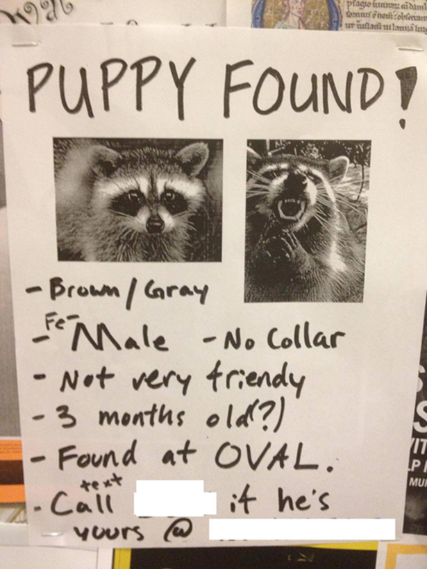 Funny Lost Pet Signs — 12