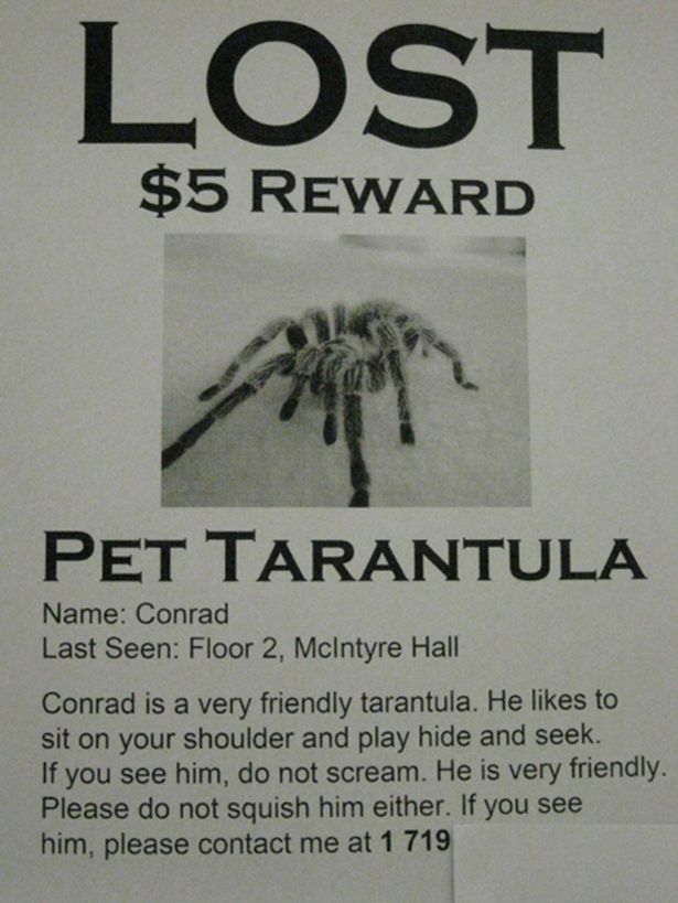 Funny Lost Pet Signs — 16