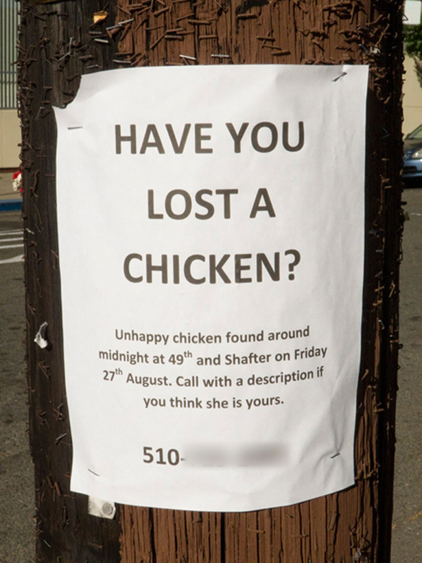 Funny Lost Pet Signs — 18