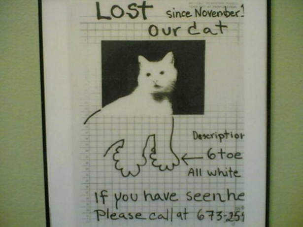 Funny Lost Pet Signs — 2