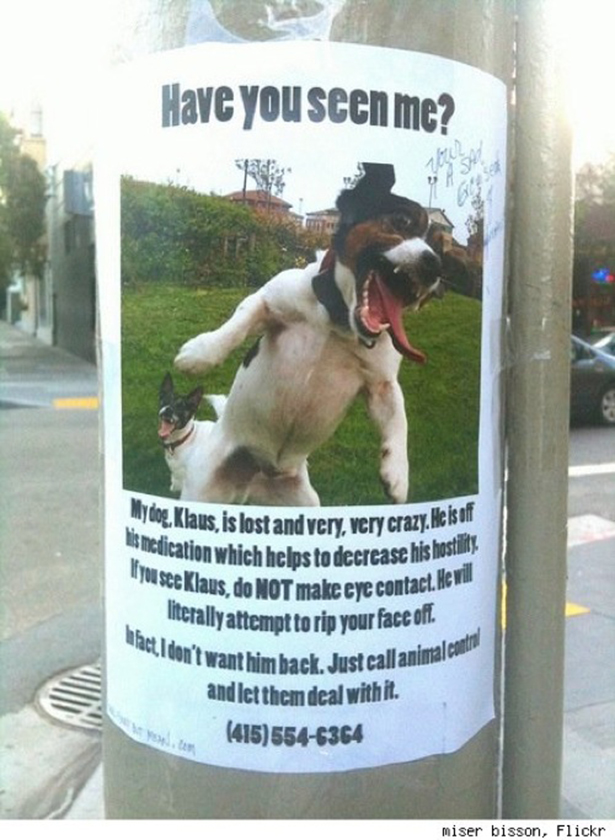 Funny Lost Pet Signs — 9