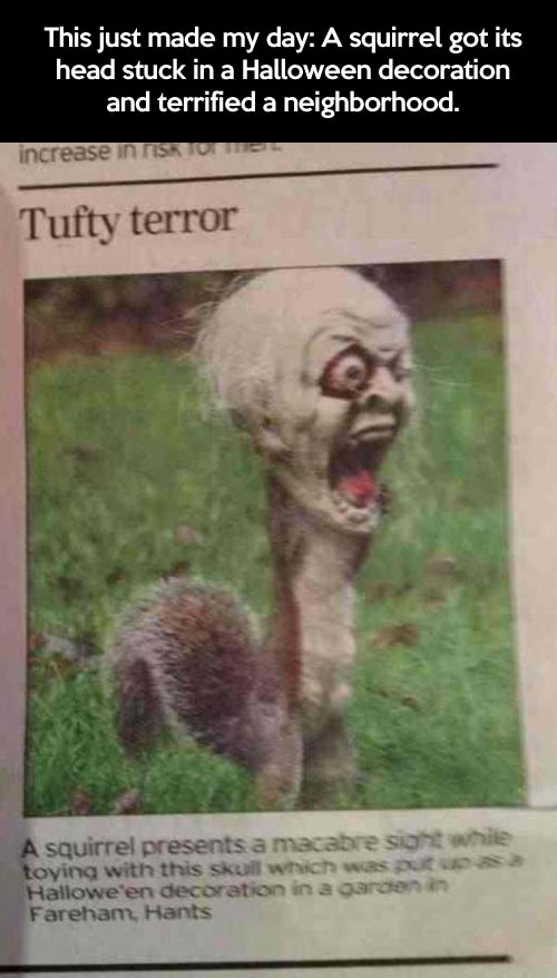 Squirrel-Halloween-scary-mask