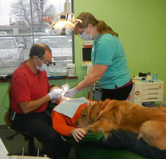 Dog helps little boy get over his fear at the dentist…