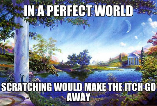 If the world was perfect…